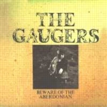 The Gaugers