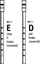 E and D