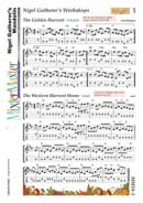Music
mandolin tab