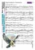 Music
mandolin tab