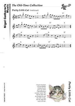 Pretty Little Cat