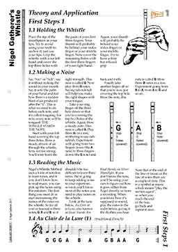 Ornamentation on the Whistle